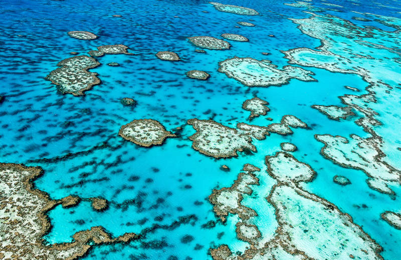 great-barrier-reef-queensland-australia-cover