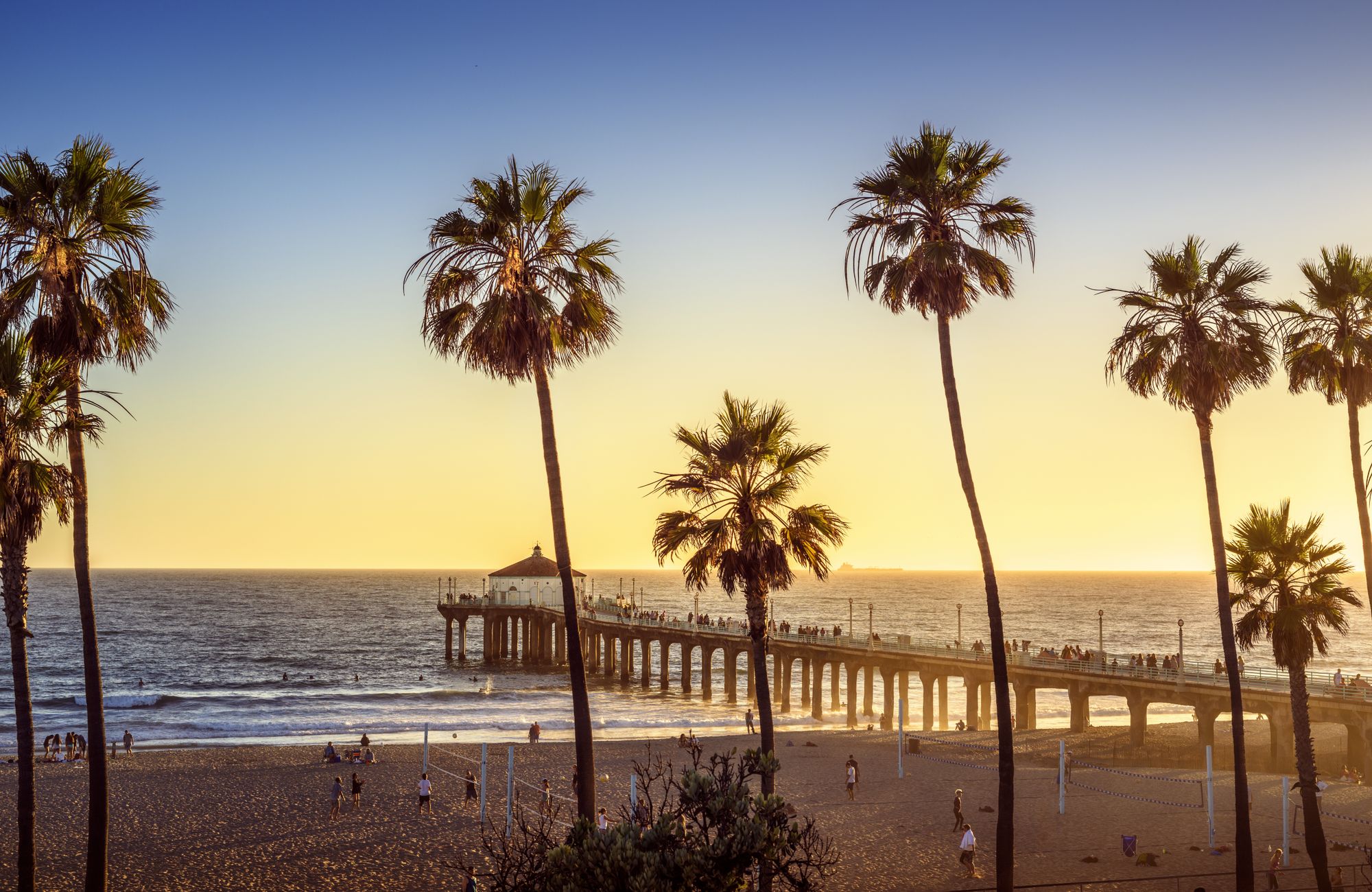 Image of a palm-fringed beach and pier in Los Angeles - KILROY