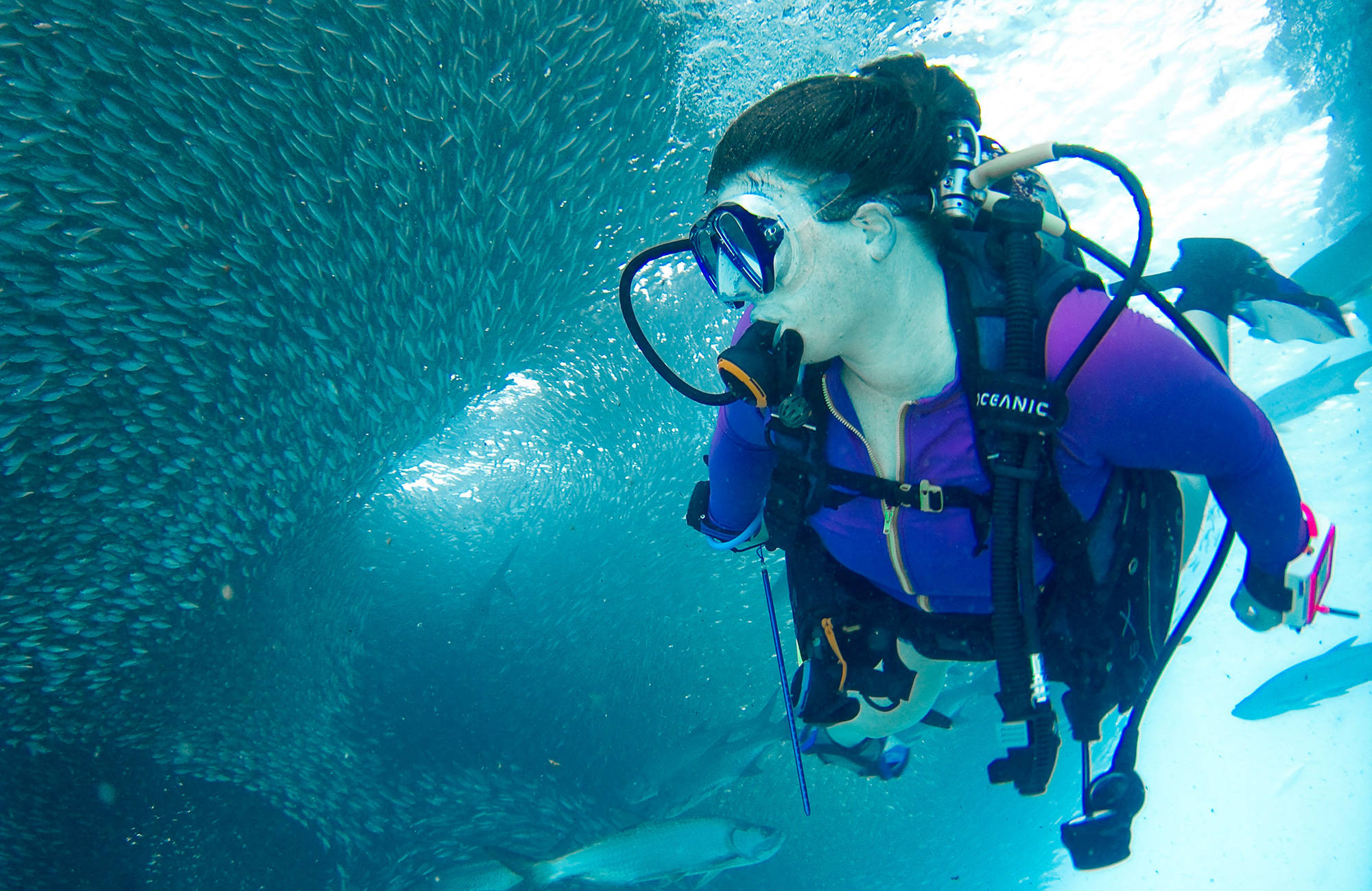 A woman diving near a shoal of fish - KILROY