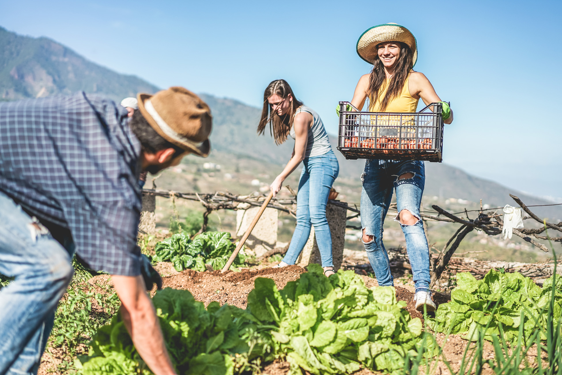 Image of young travellers working on a farm during their gap year working abroad - KILROY