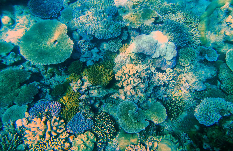 The 8 best things to do in Fiji | Travel to Fiji | KILROY