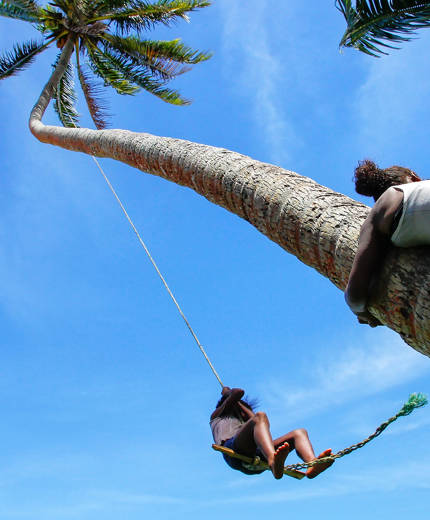 Image of a local swinging on a rope from a palm tree in Fiji - KILROY