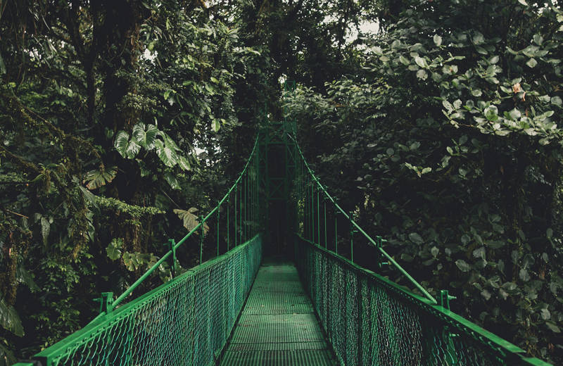 Lush and green Costa Rica