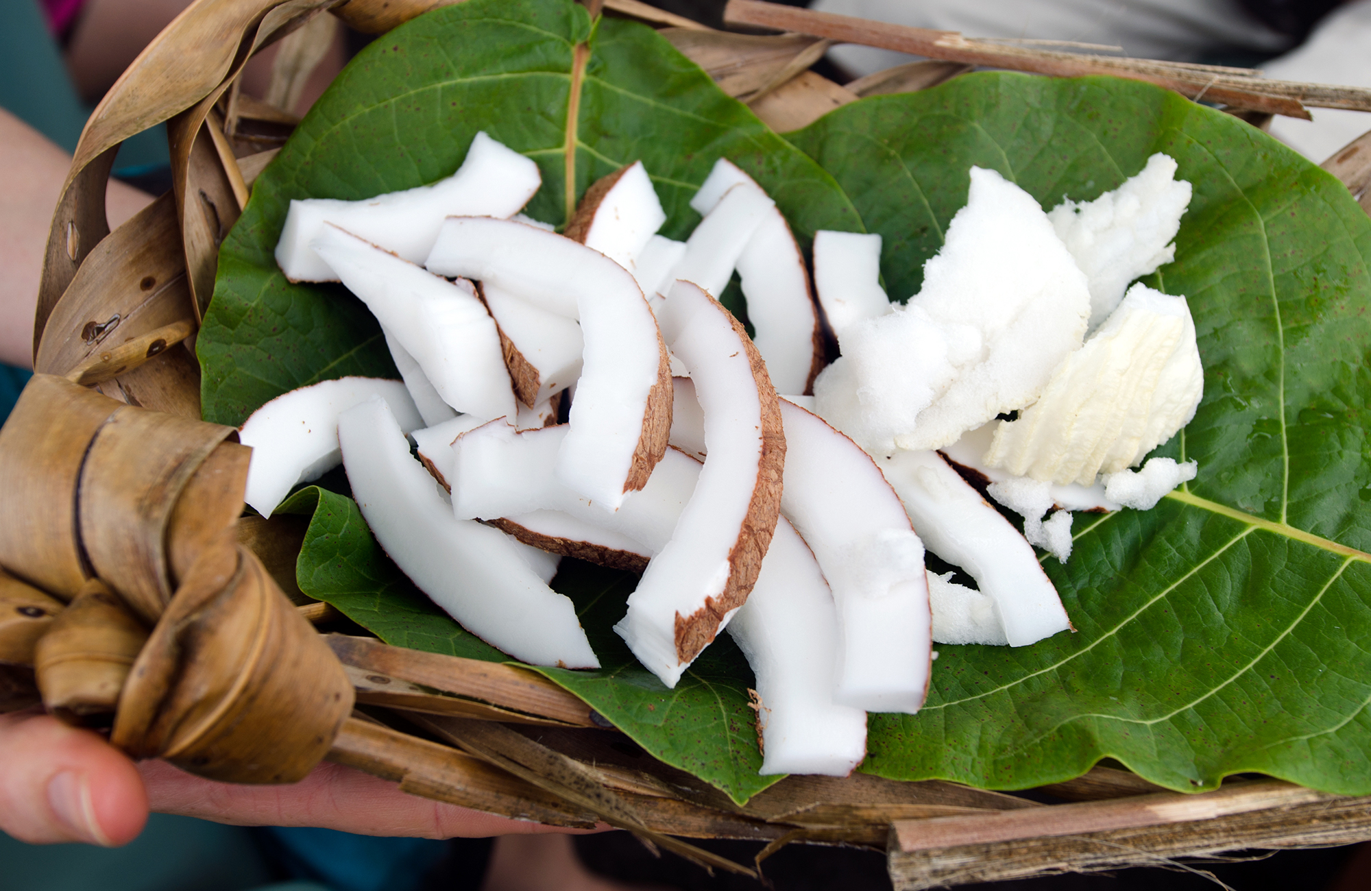 Image of chunks of fresh coconut displayed on a palm leaf ready to eat - KILROY