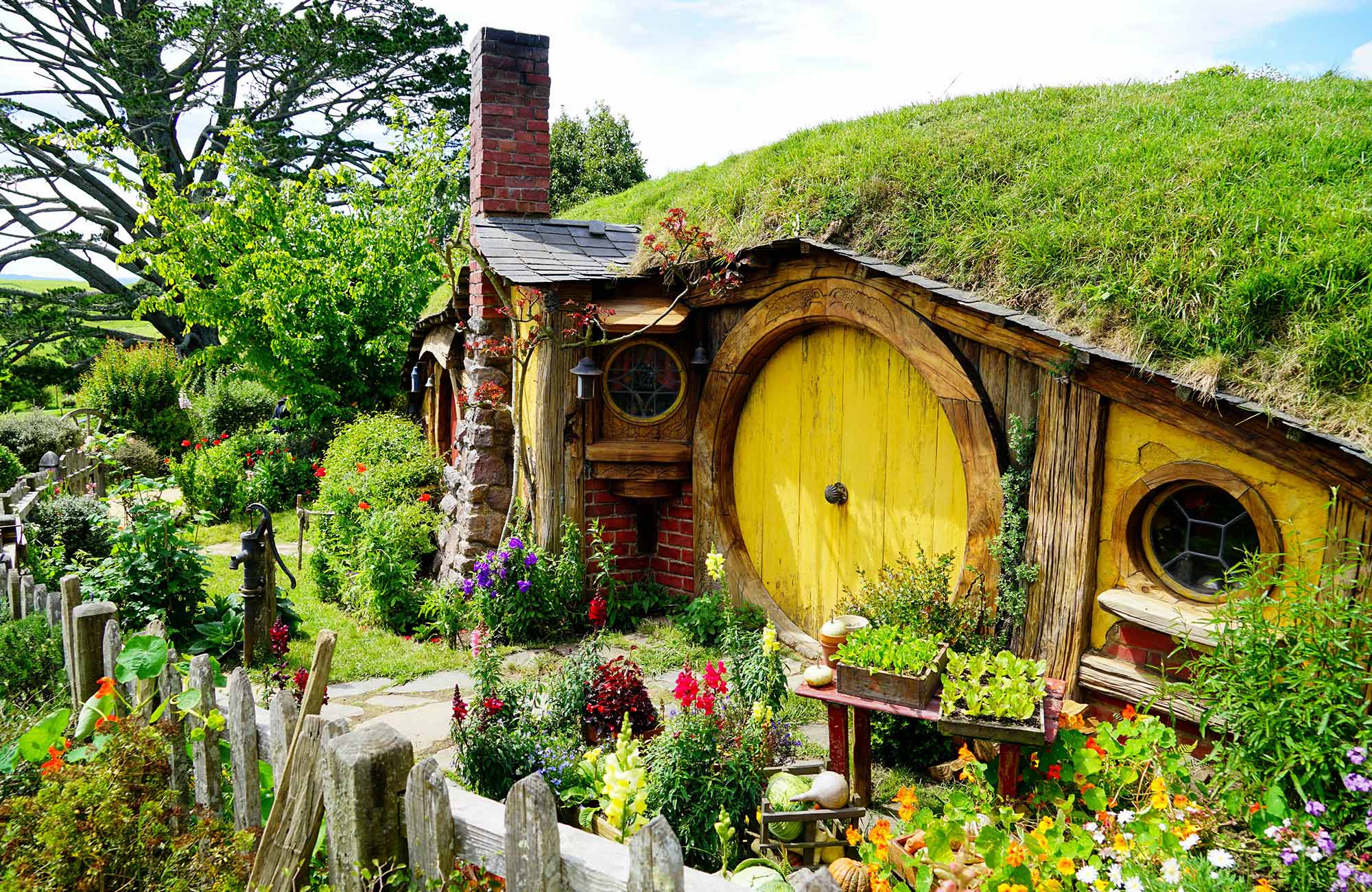 Image of a Hobbit home in Hobbiton in New Zealand - KILROY
