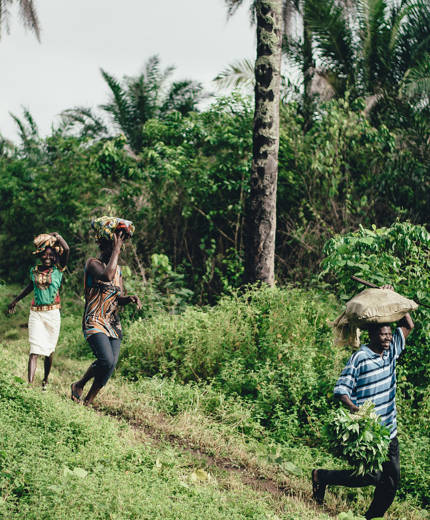 Image of people carrying sacks of goods on their head in Tanzania - KILROY
