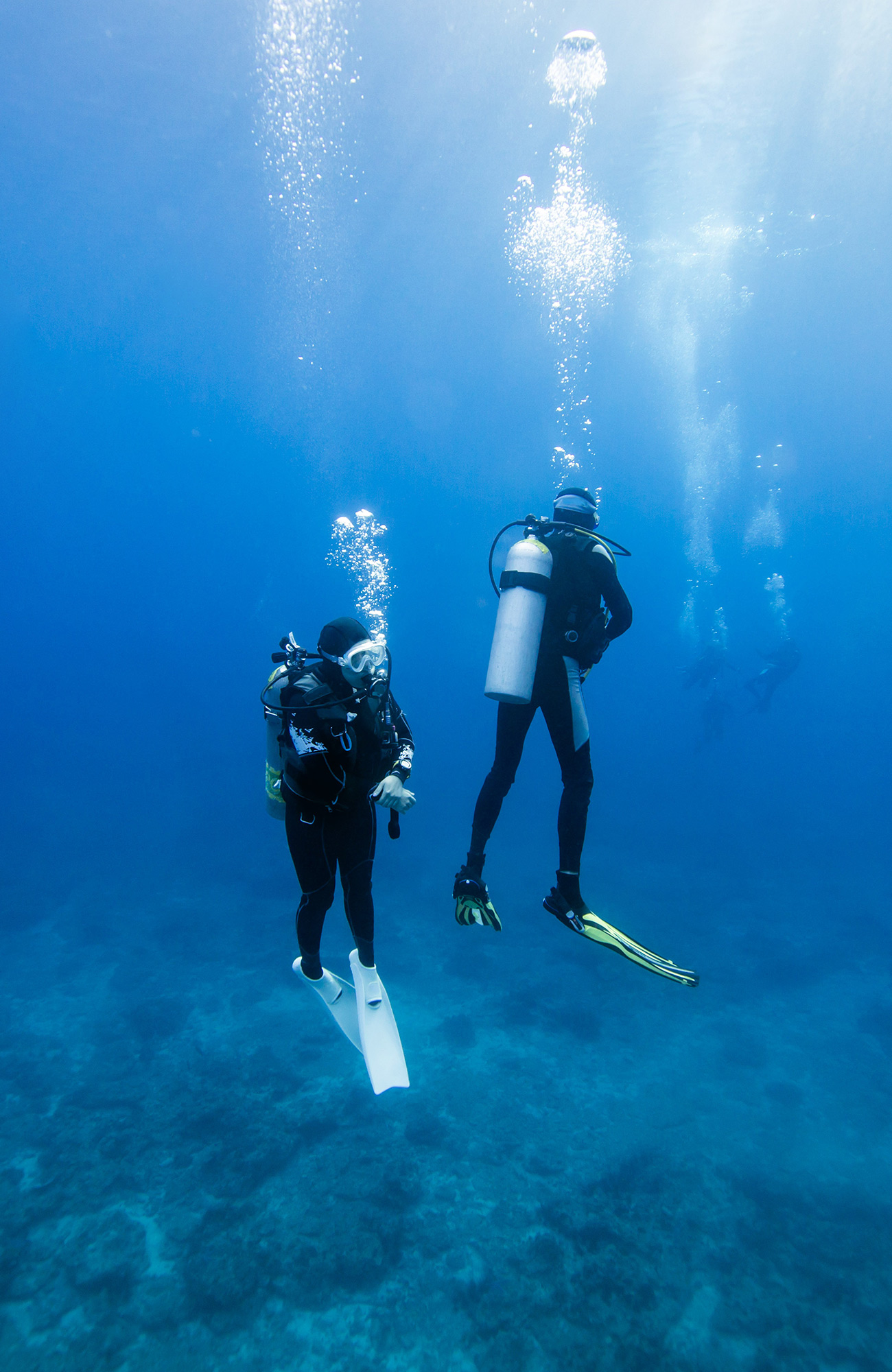 Image of two divers underwater in the ocean surrounding Honduras - KILROY