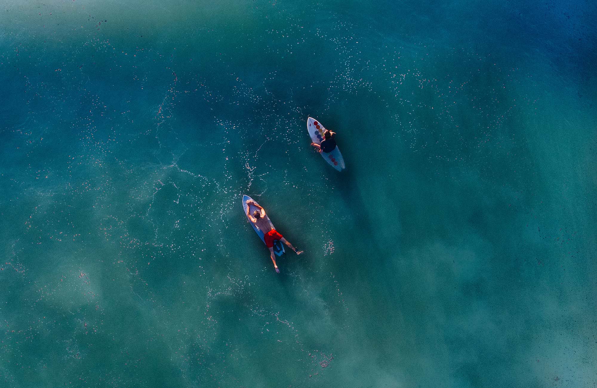 Aerial view of two surfers in the water near Sri Lanka - KILROY