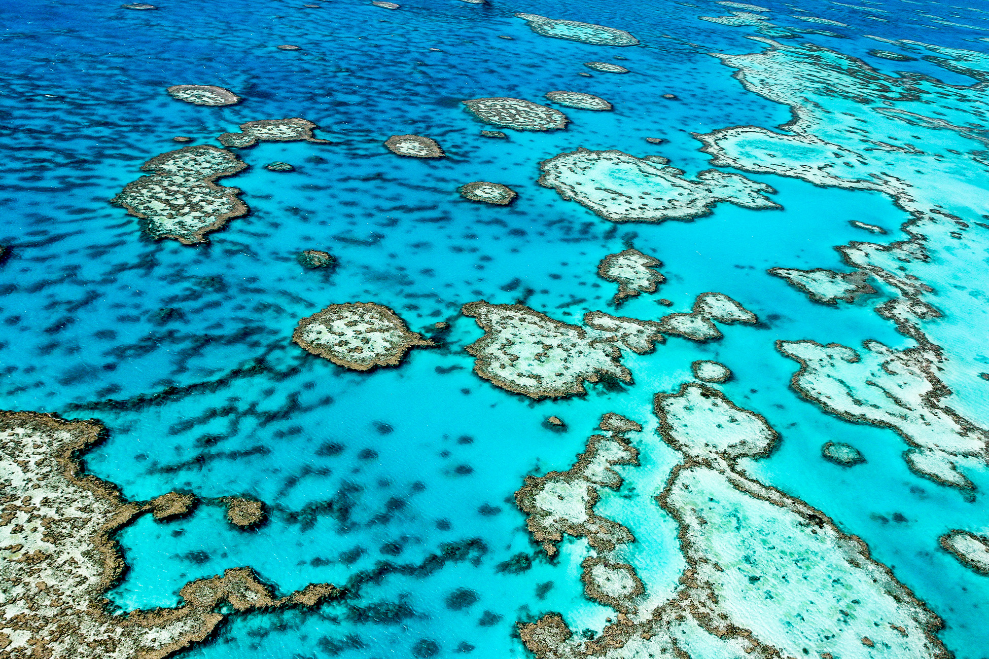 Aerial view of coral reefs in dazzling blue waters - KILROY