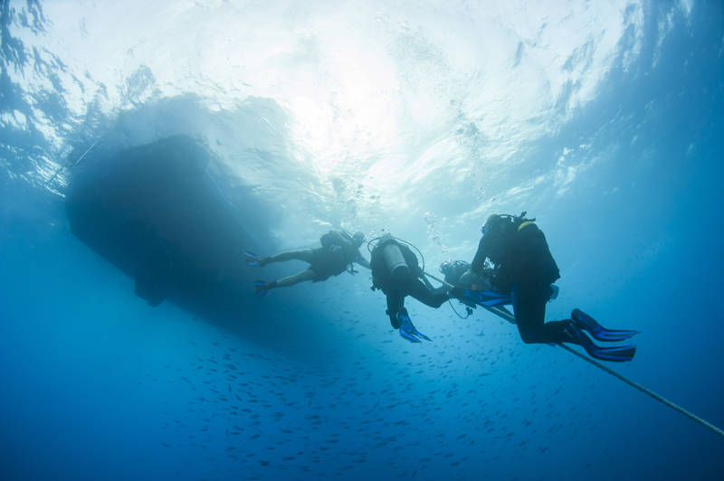 Image of divers underwater - KILROY