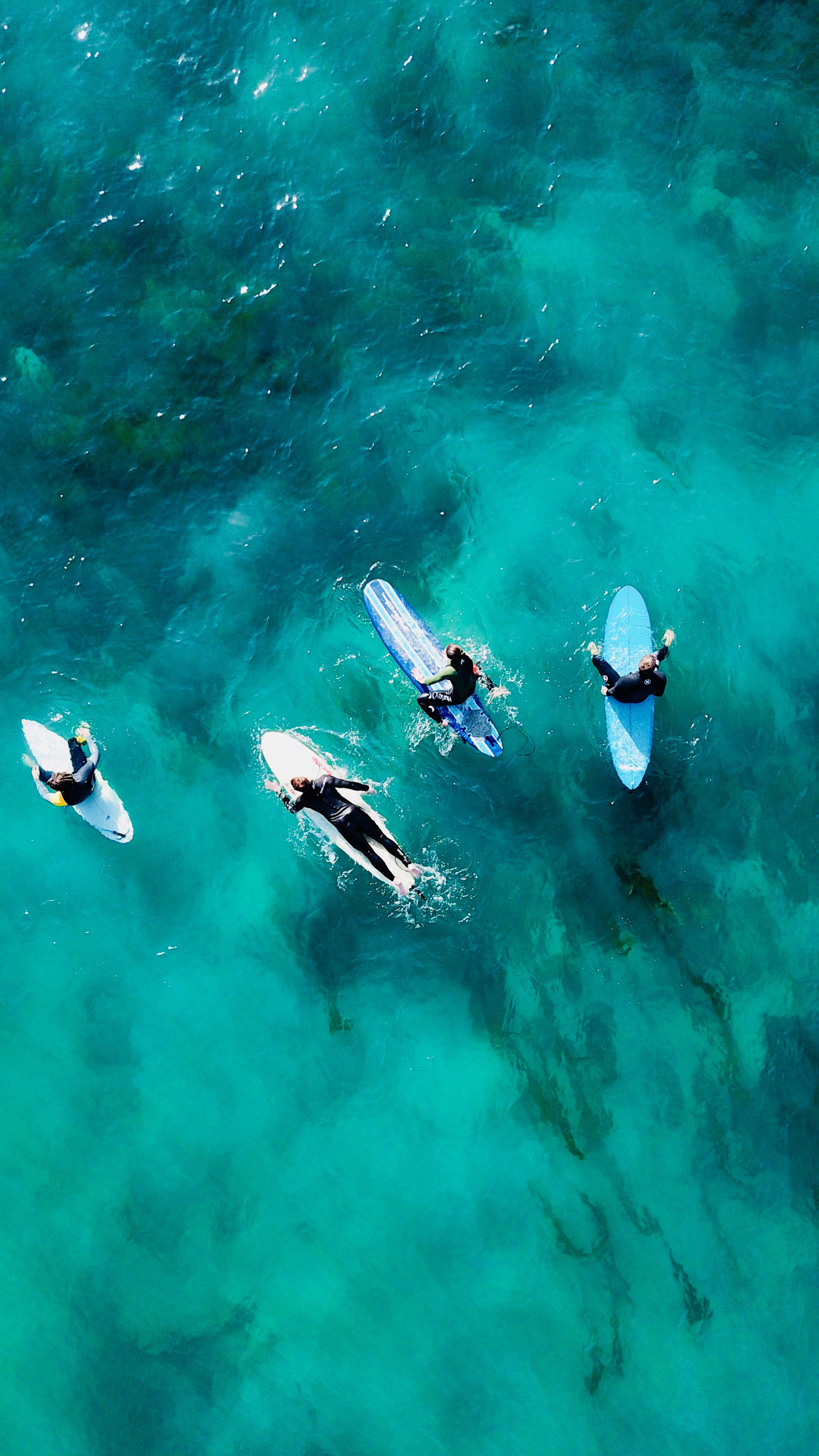 Aerial view of a group of surfers in the waters of Central America - KILROY