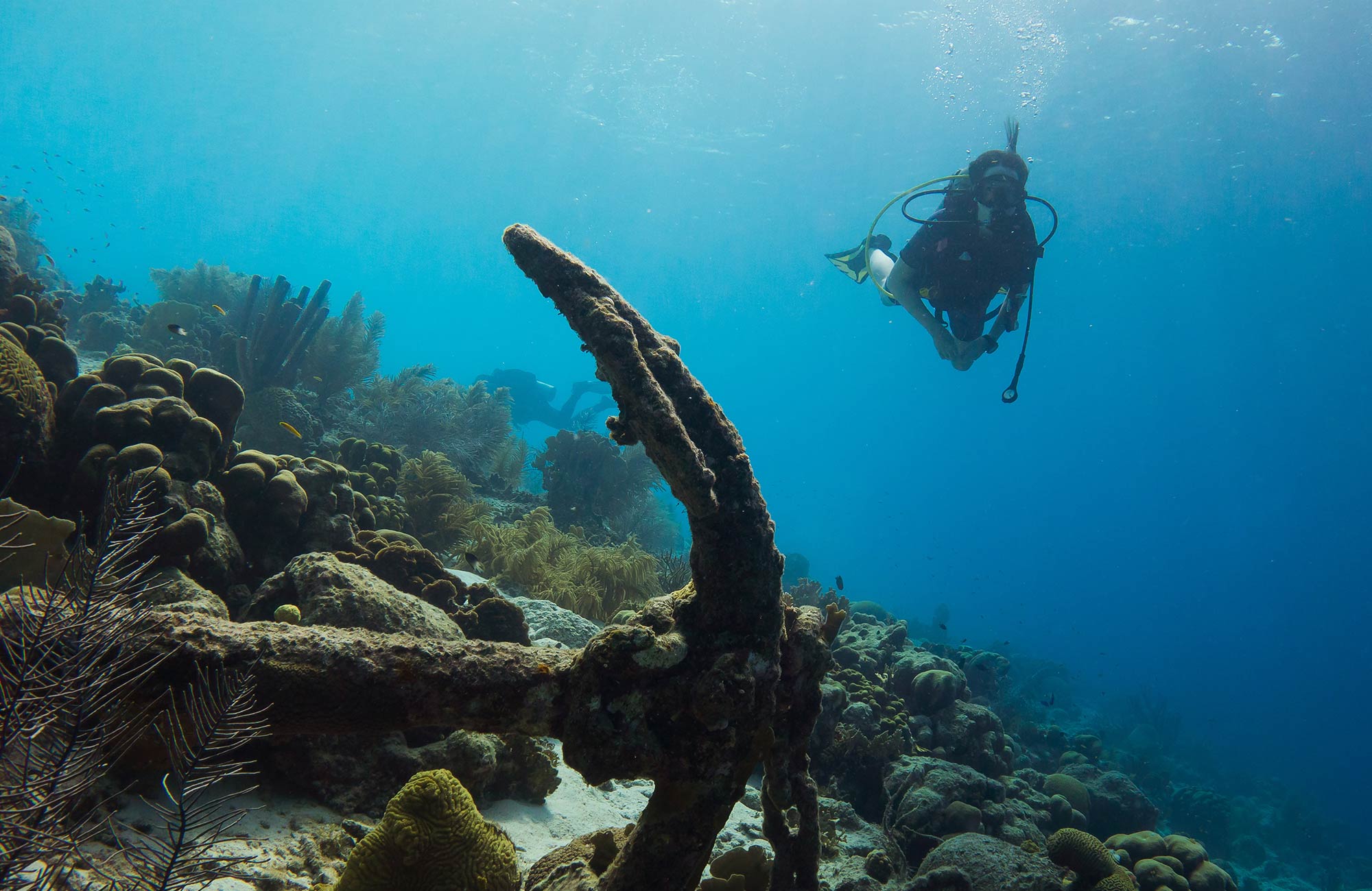 Image of a diver close to an anchor covered in coral - KILROY