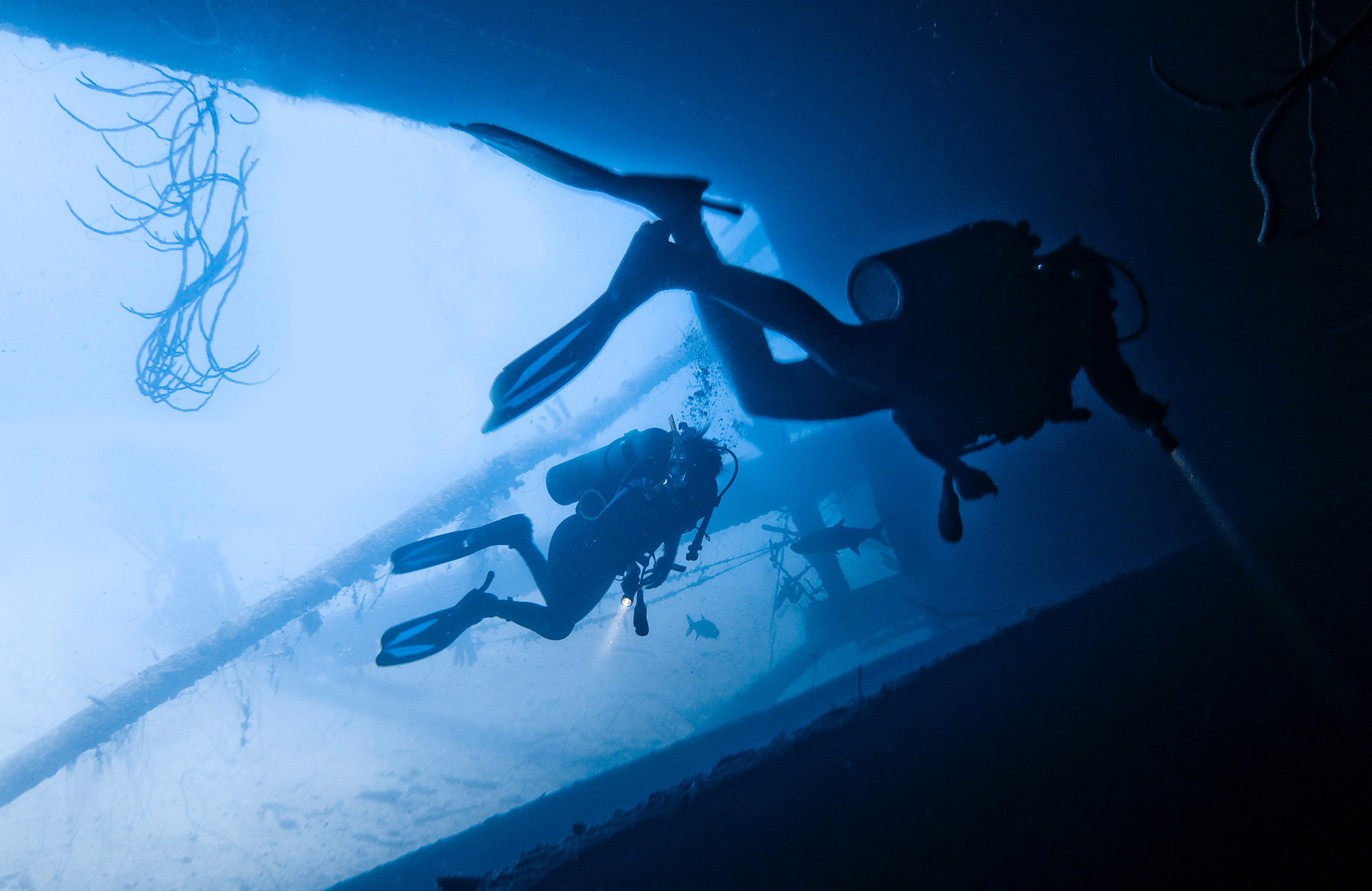 Image of two divers exploring a shipwreck in the waters near Tanzania - KILROY