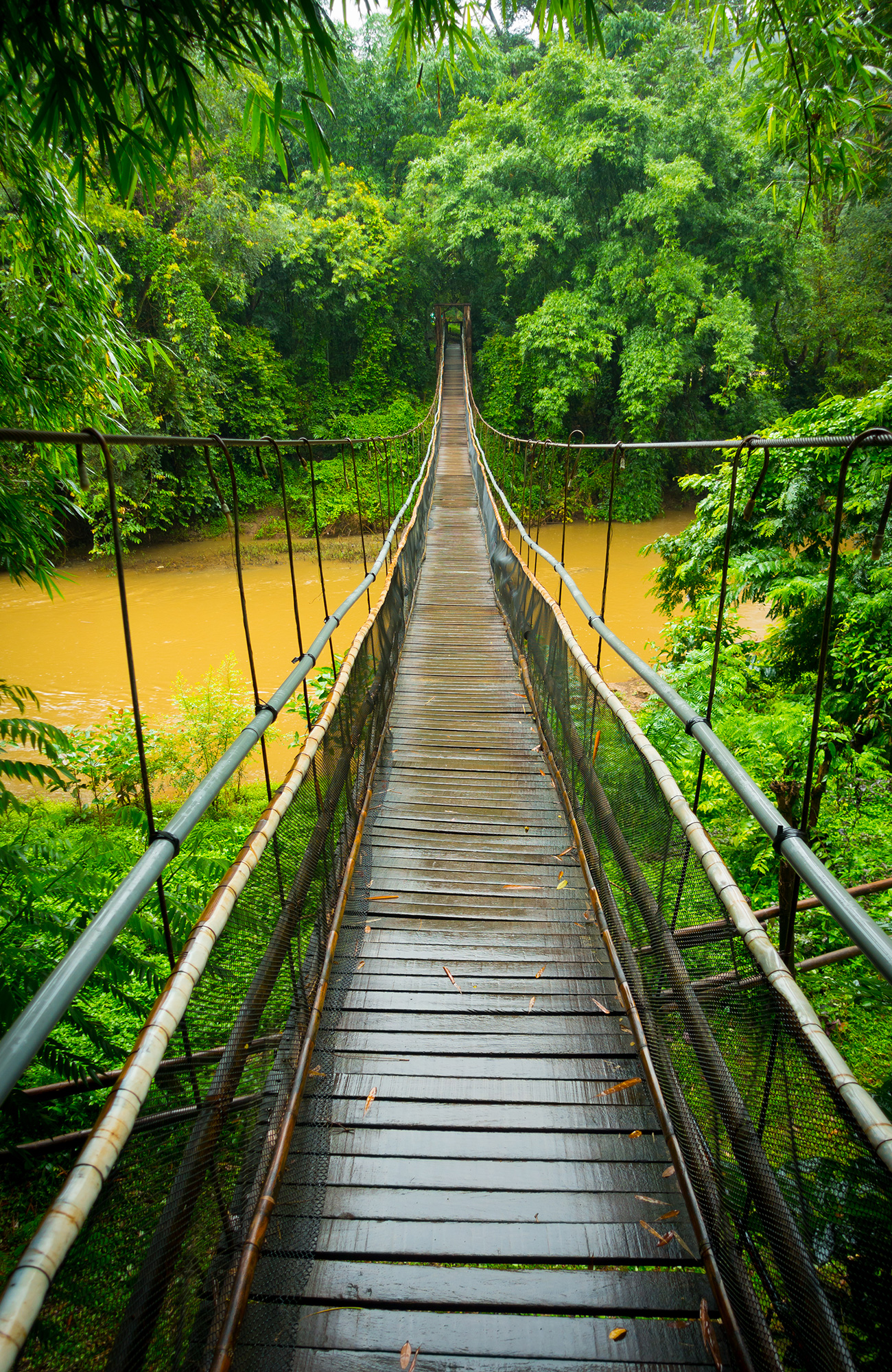Image of a suspension bridge crossing a river on a trekking route in Thailand - KILROY