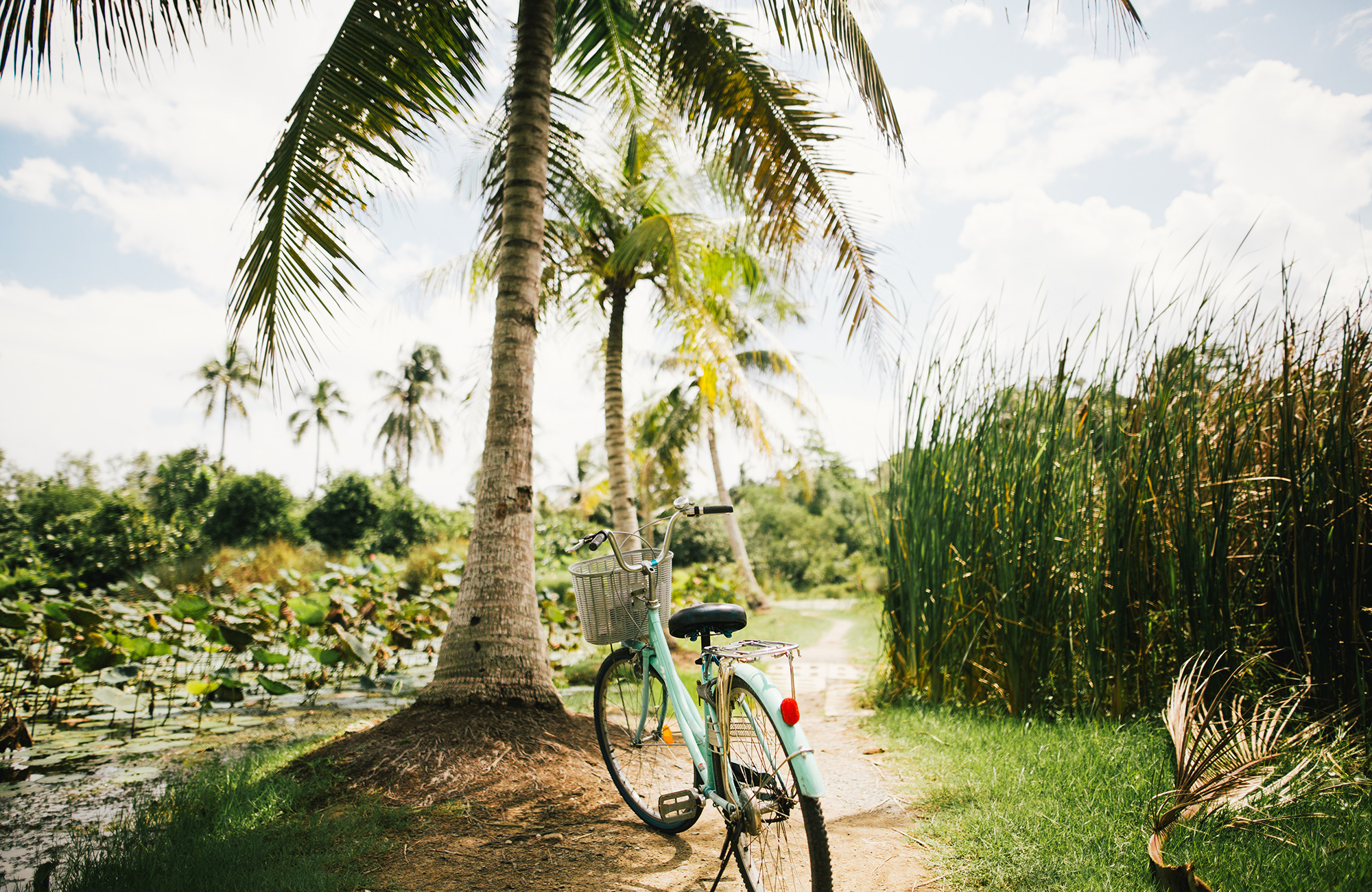 Image of a bicycle stood in front of a palm tree in Asia - KILROY