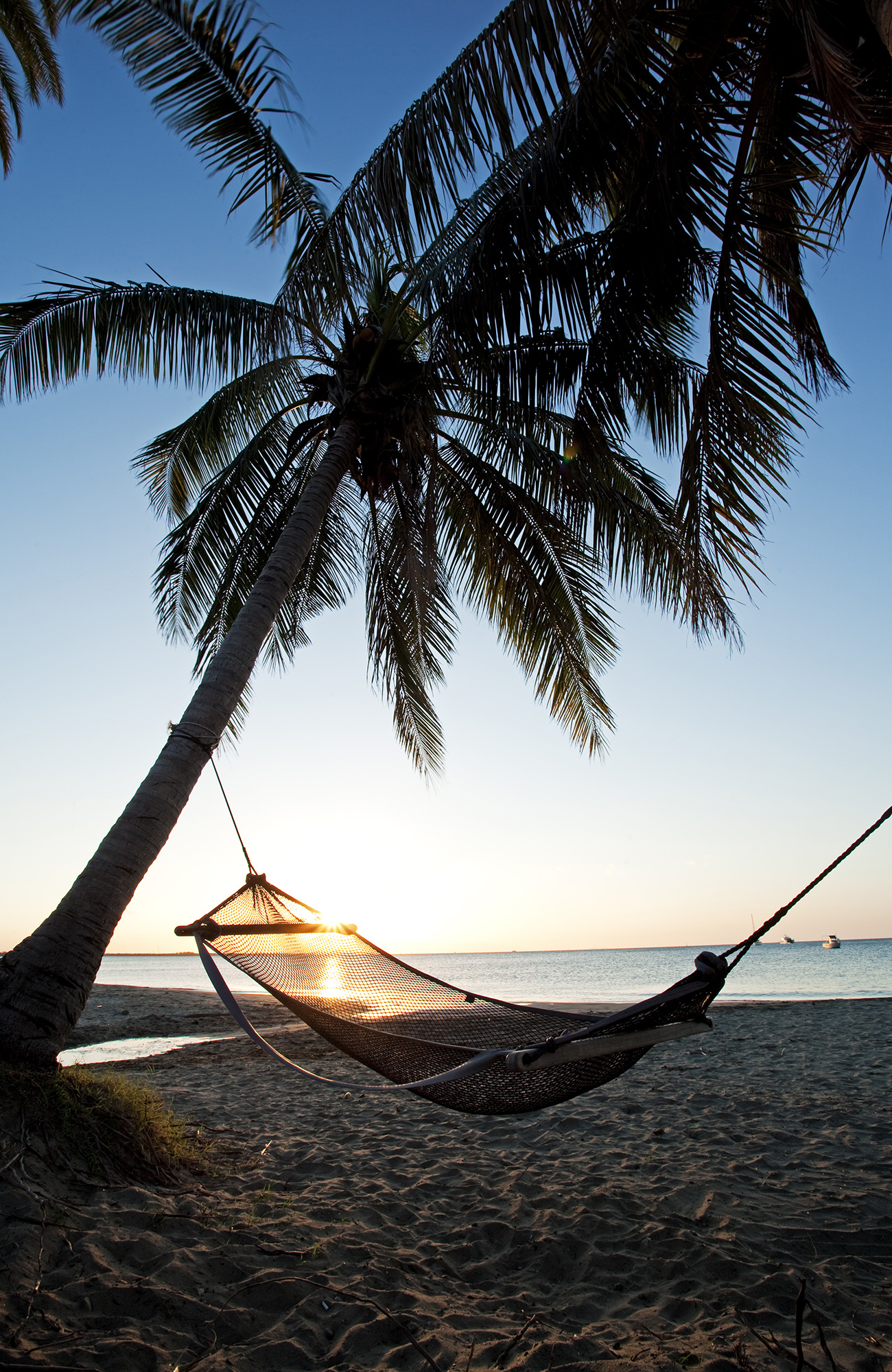 Image of a hammock on a beach in Fiji - KILROY