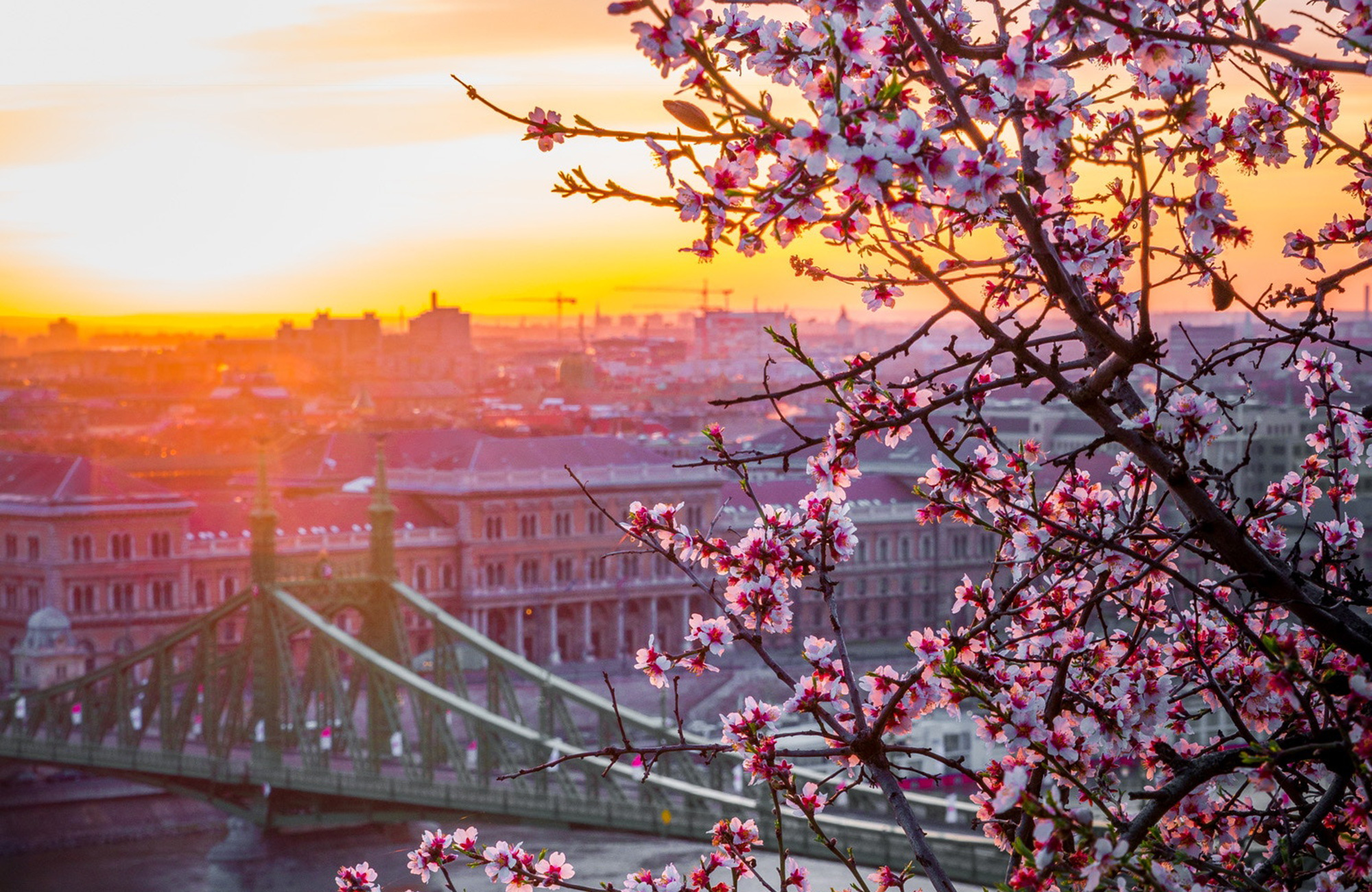 study trip to Budapest - school trip to Budapest