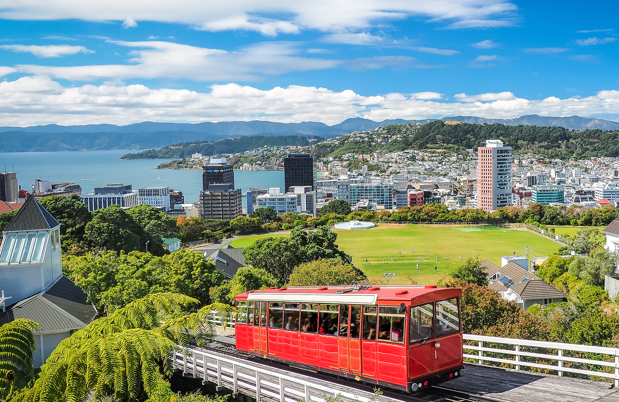 Image of the city of Wellington seen from a view point - KILROY