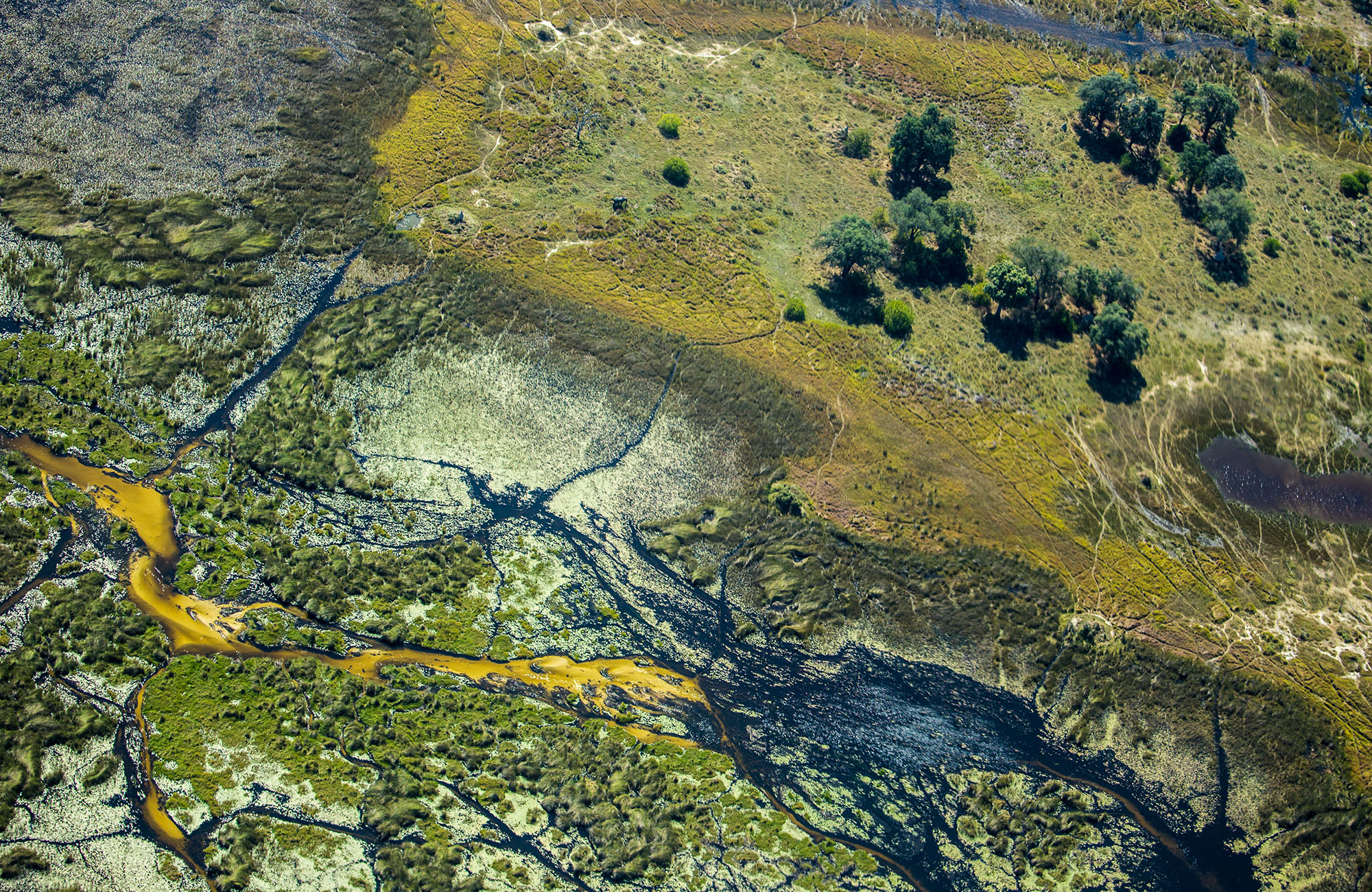 Aerial image of the Okavango Delta seen from above - KILROY
