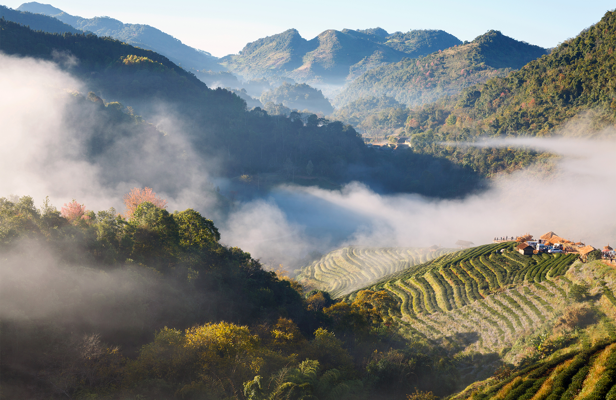 Image of mist-covered rice terraces in Chiang Mai in the north of Thailand - KILROY