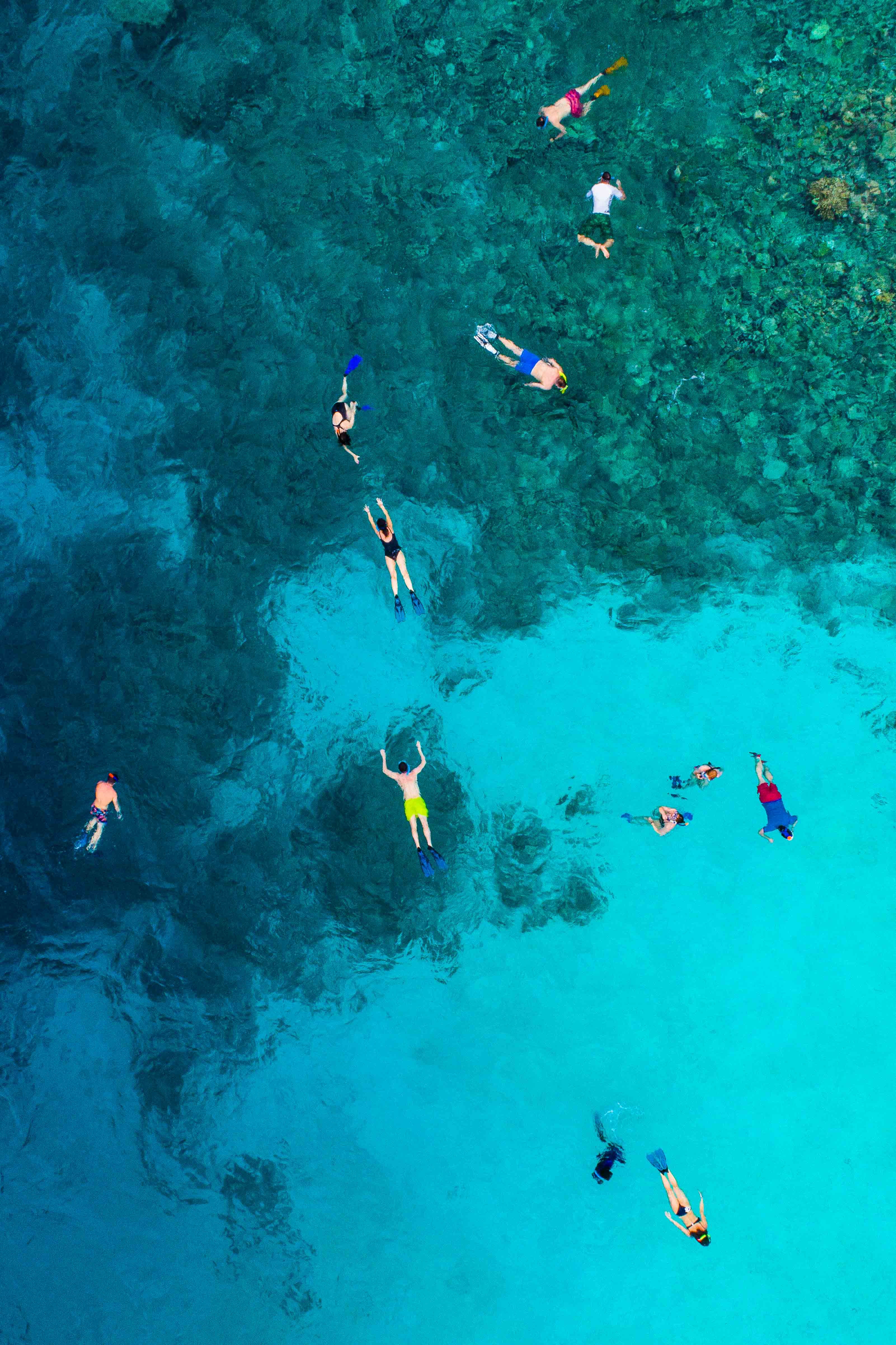 Aerial view of snorkellers and divers in the water - KILROY