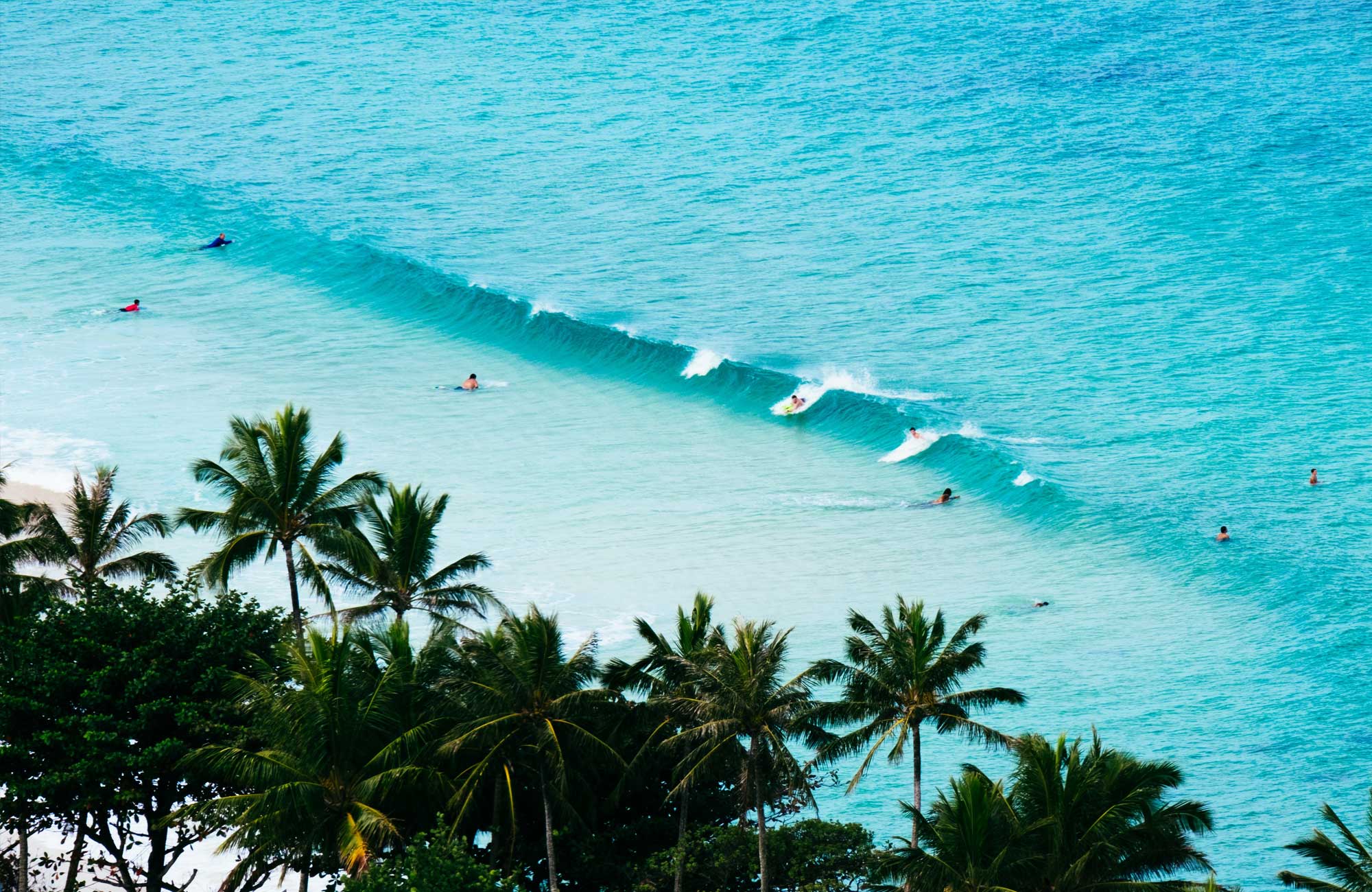 Image of a breaking wave scattered with surfers and palm trees in the foreground - KILROY