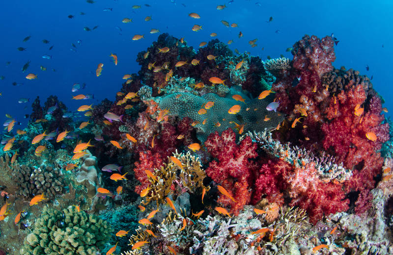 The 8 best things to do in Fiji | Travel to Fiji | KILROY