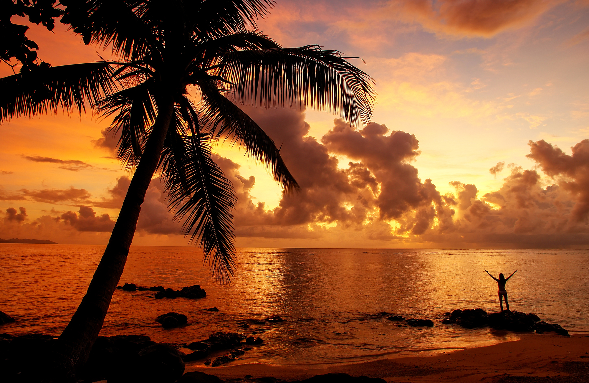 Image of a palm-fringed beach in Fiji at sunset - KILROY