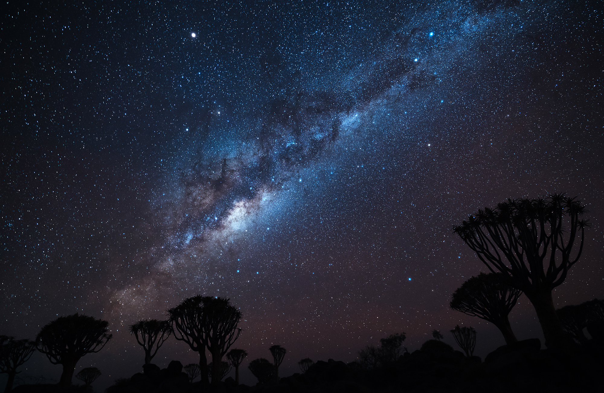 Image of a starry night in the Namibian desert - KILROY