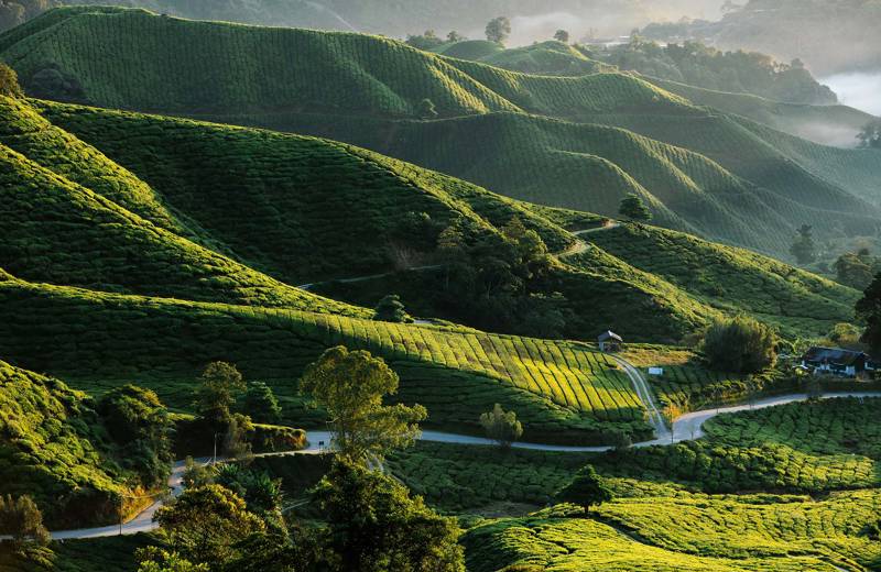 The 8 best activities in Malaysia | Backpacking Malaysia | KILROY