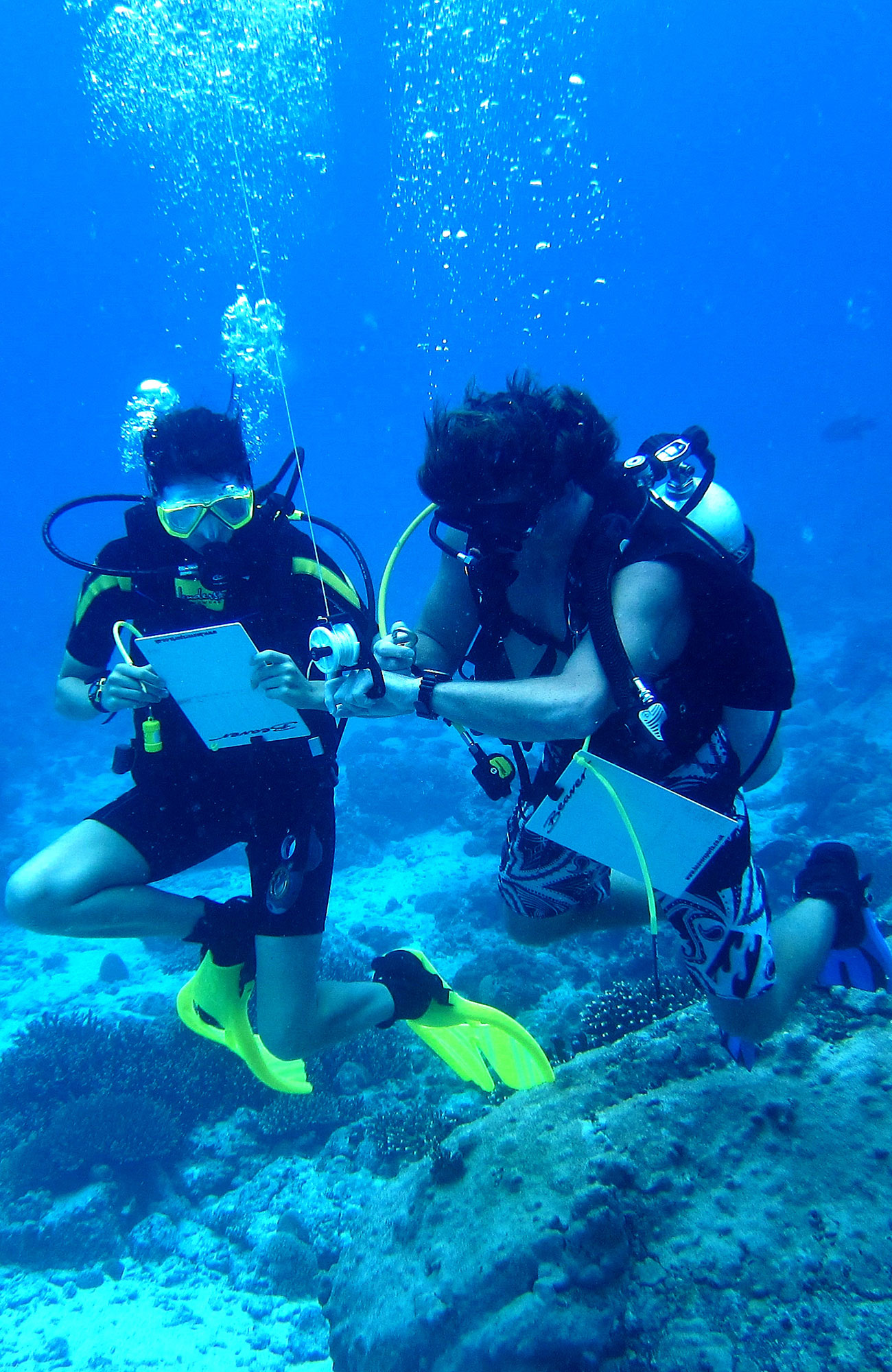 Image of a two divers in the waters of the Seychelles on a diving research project - KILROY