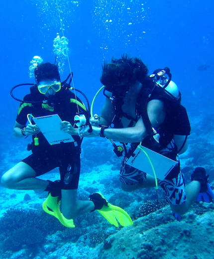 Image of a two divers in the waters of the Seychelles on a diving research project - KILROY