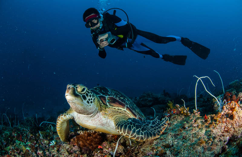 Diver in Indonesia taking a picture of a sea turtle swimming over some rocks and coral