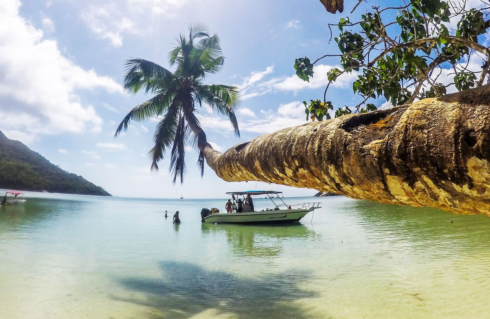 Image of a boat and a palm tree on a beach in the Seychelles - KILROY