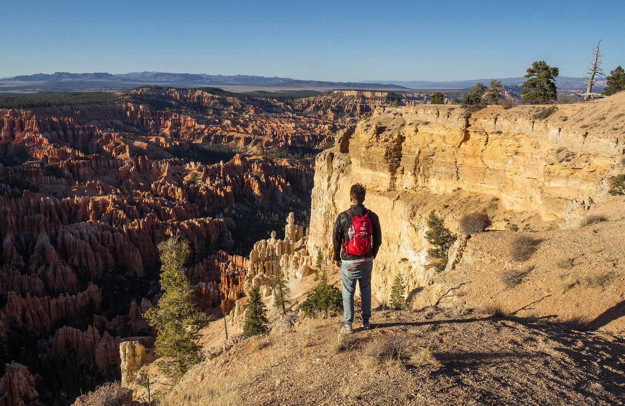 Image of a male traveller overlooking Bryce Canyon in the USA - KILROY