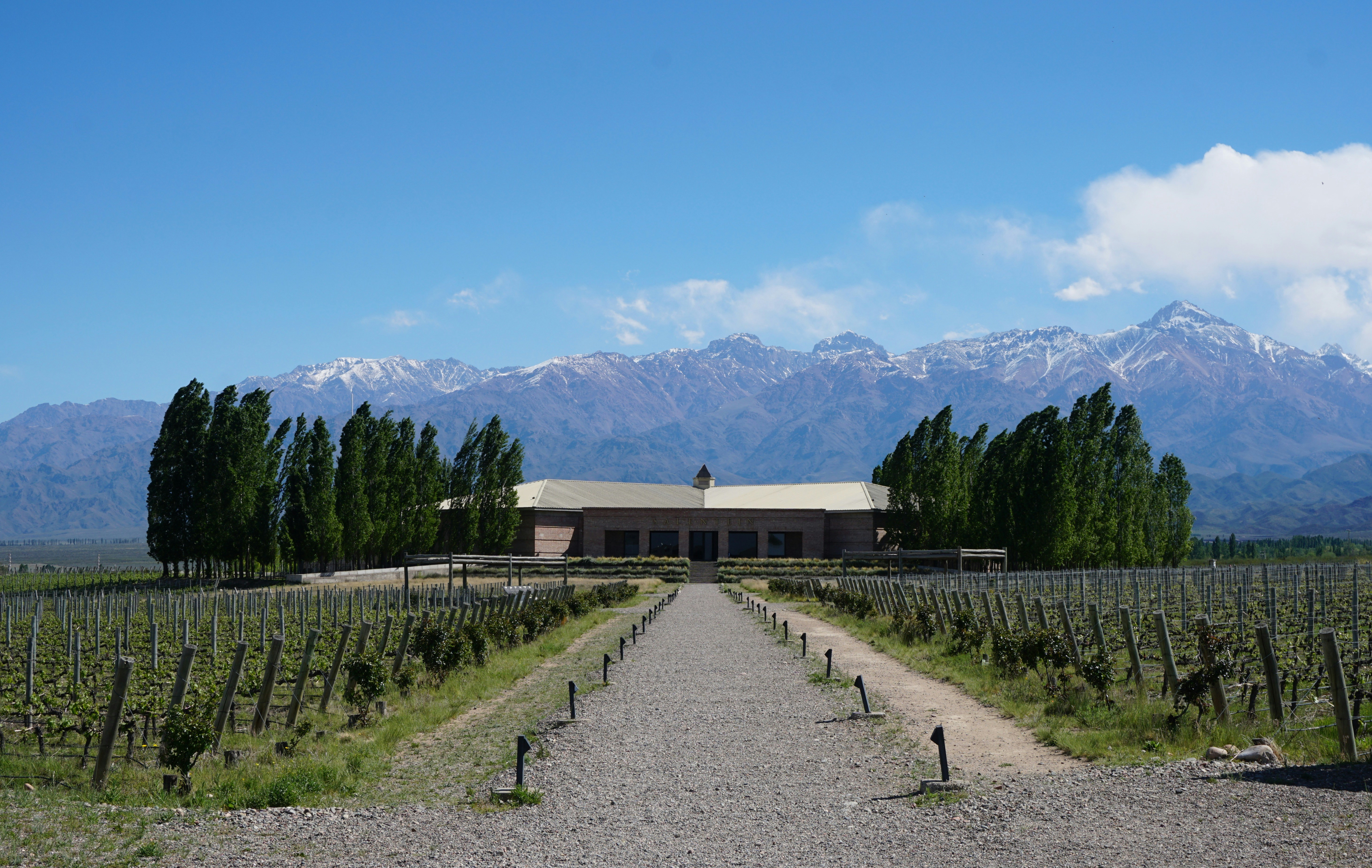 Image of a house surrounded by vines with mountains in the background in Mendoza - KILROY