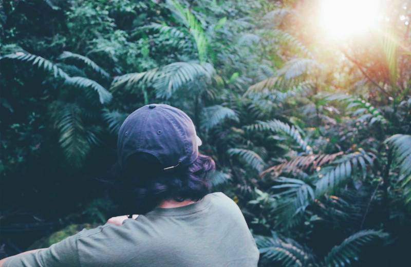 Male traveller with a grey cap viewed from the back while looking at the sunset in the jungle of Costa Rica