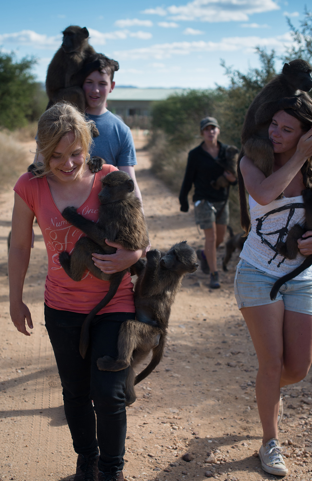 Image of volunteers carrying monkeys in Namibia - KILROY