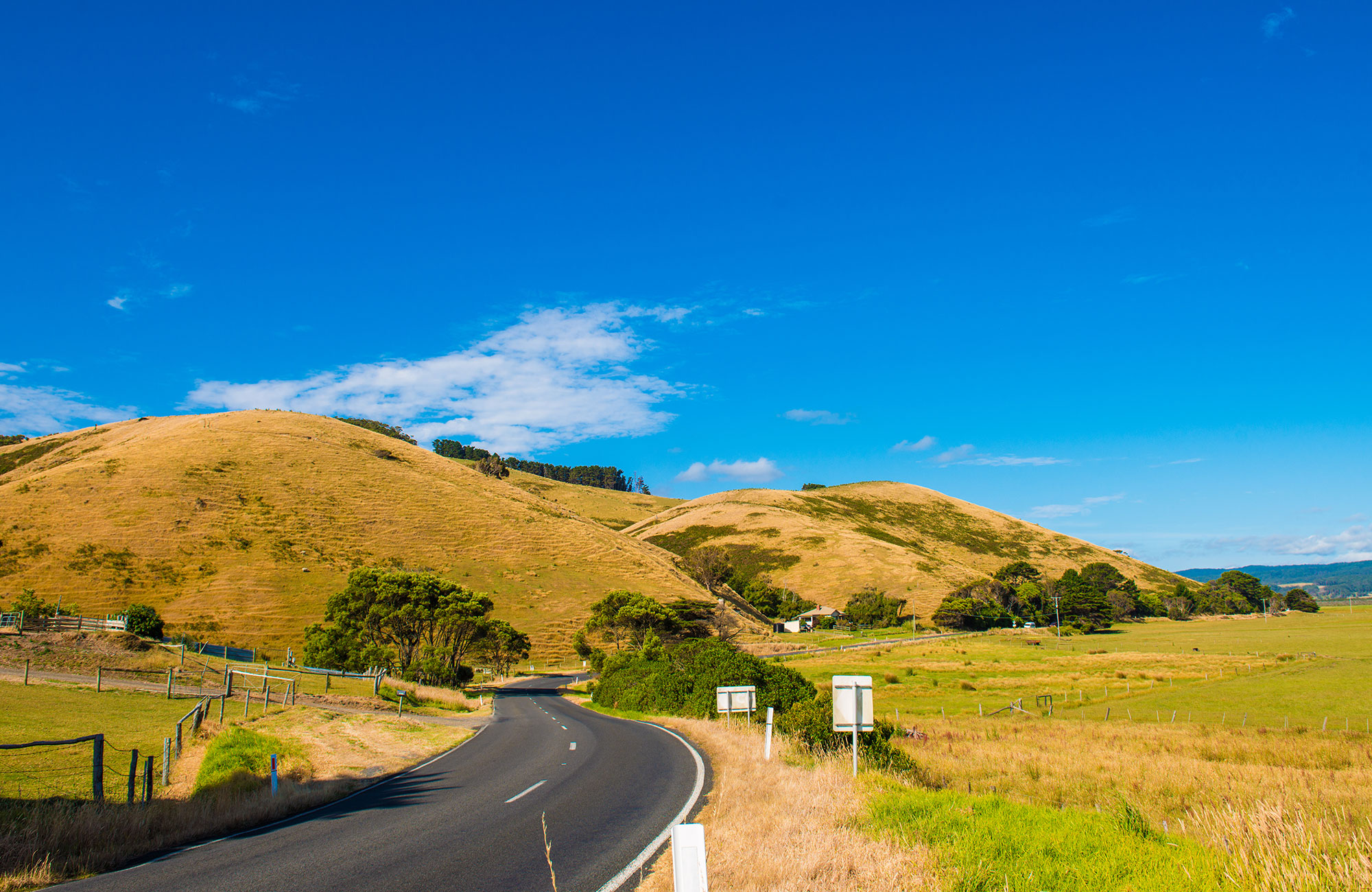 Image of an empty road through yellow, grassy hills in the Australian countryside - KILROY