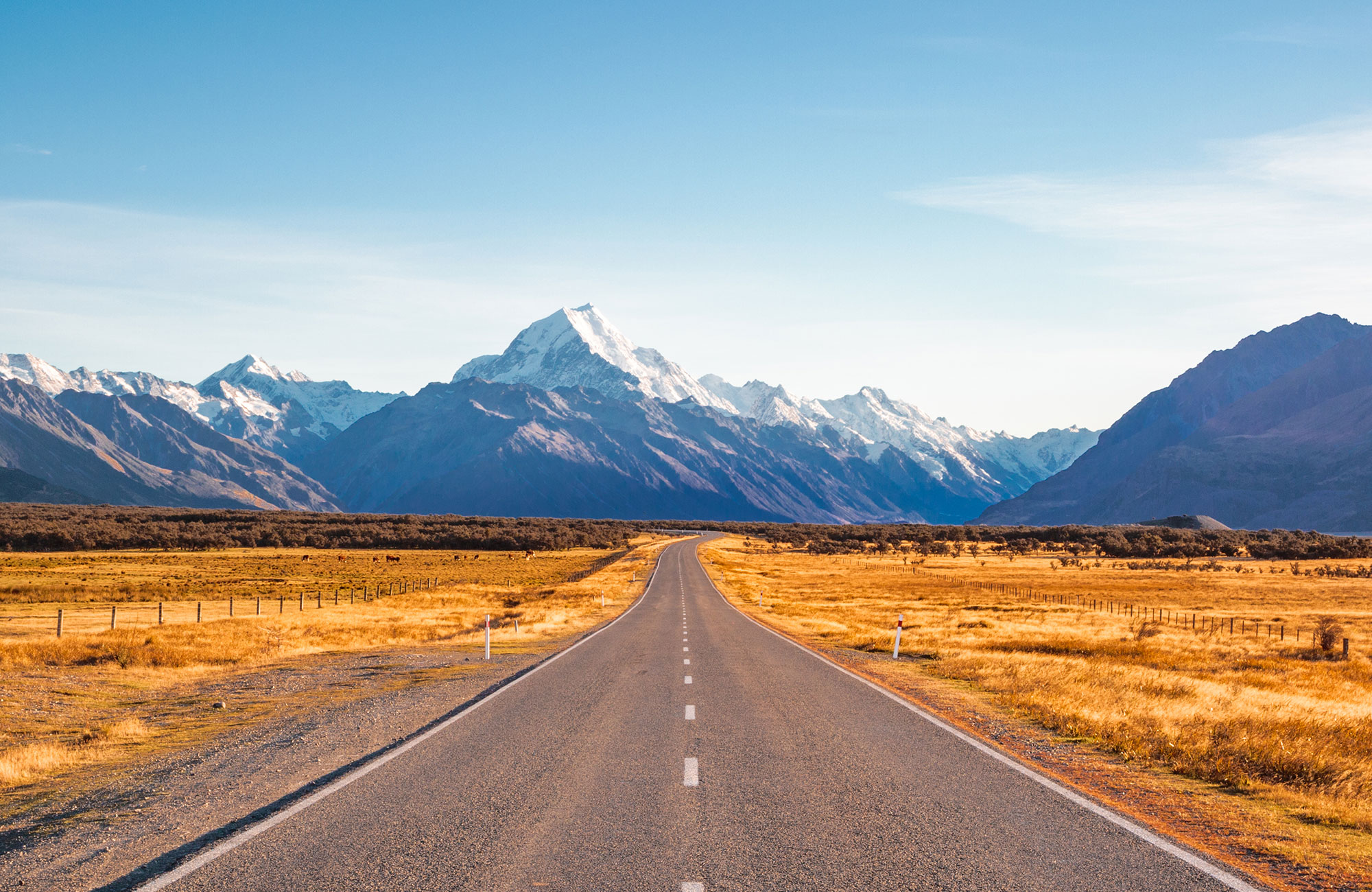 Rent a Chubby campervan from Travellers Autobarn in New Zealand