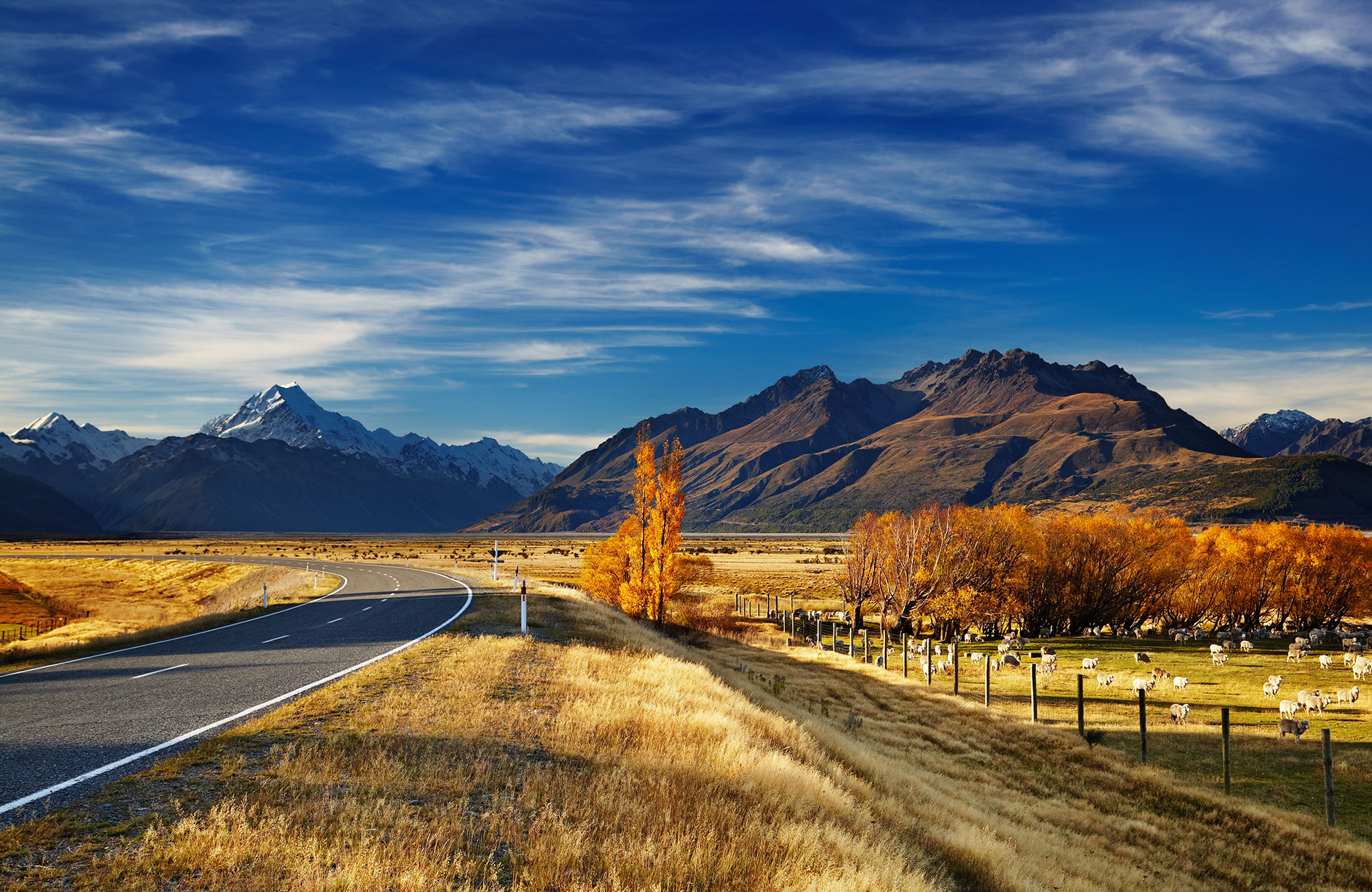 Image of a typical highway scene in New Zealand - KILROY