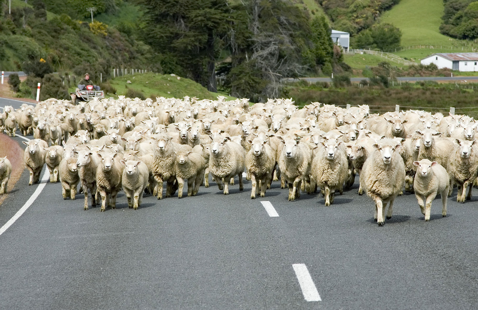 Rent a Hi-Top campervan in New Zealand| KILROY