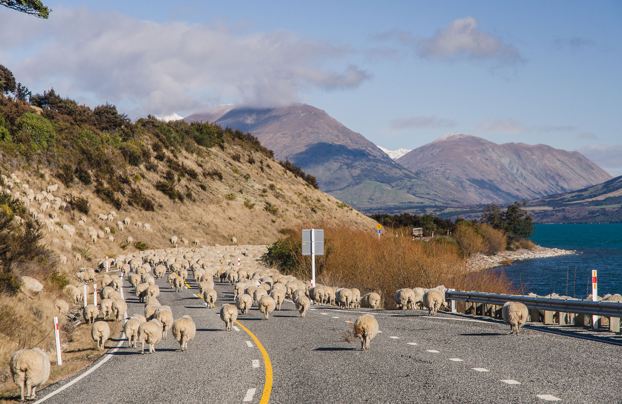 Book your campervan for New Zealand with KILROY