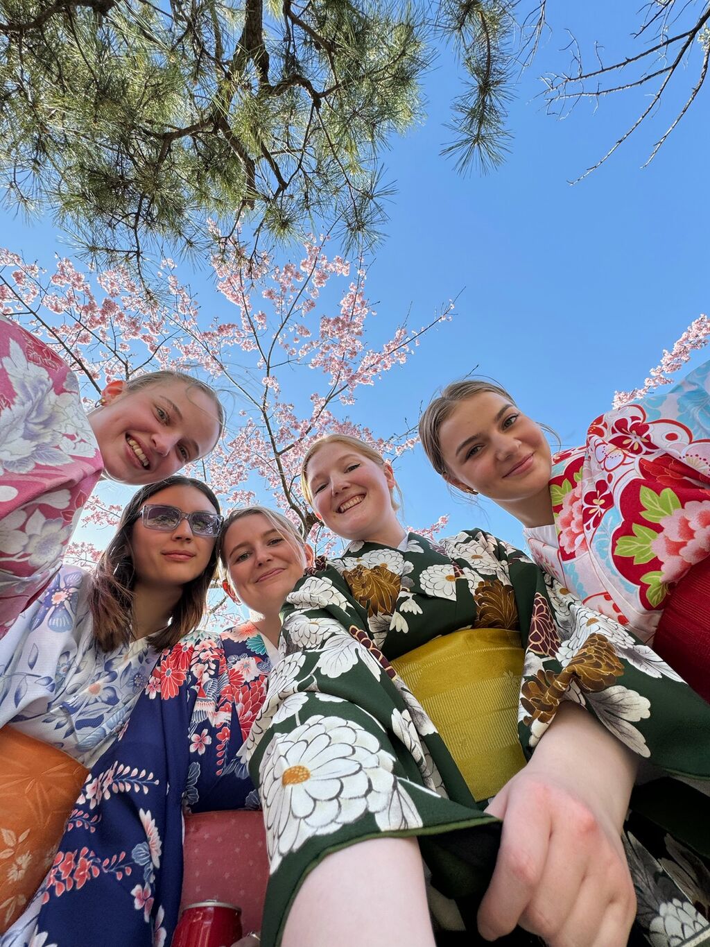 Image of a group of female travellers dressed in kimonos in Japan - KILROY