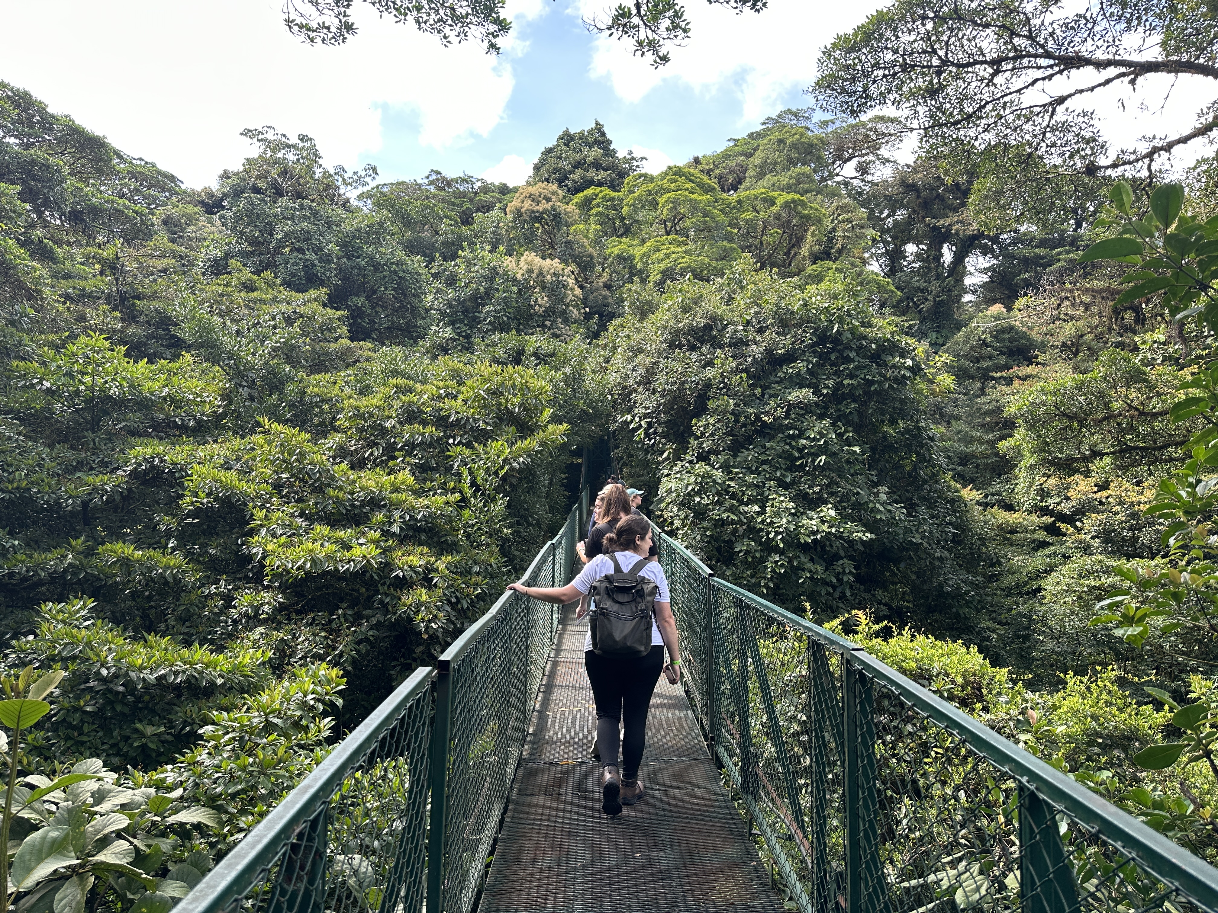 Image of travellers on a suspension bridge in the cloud forest of Monteverde - KILROY