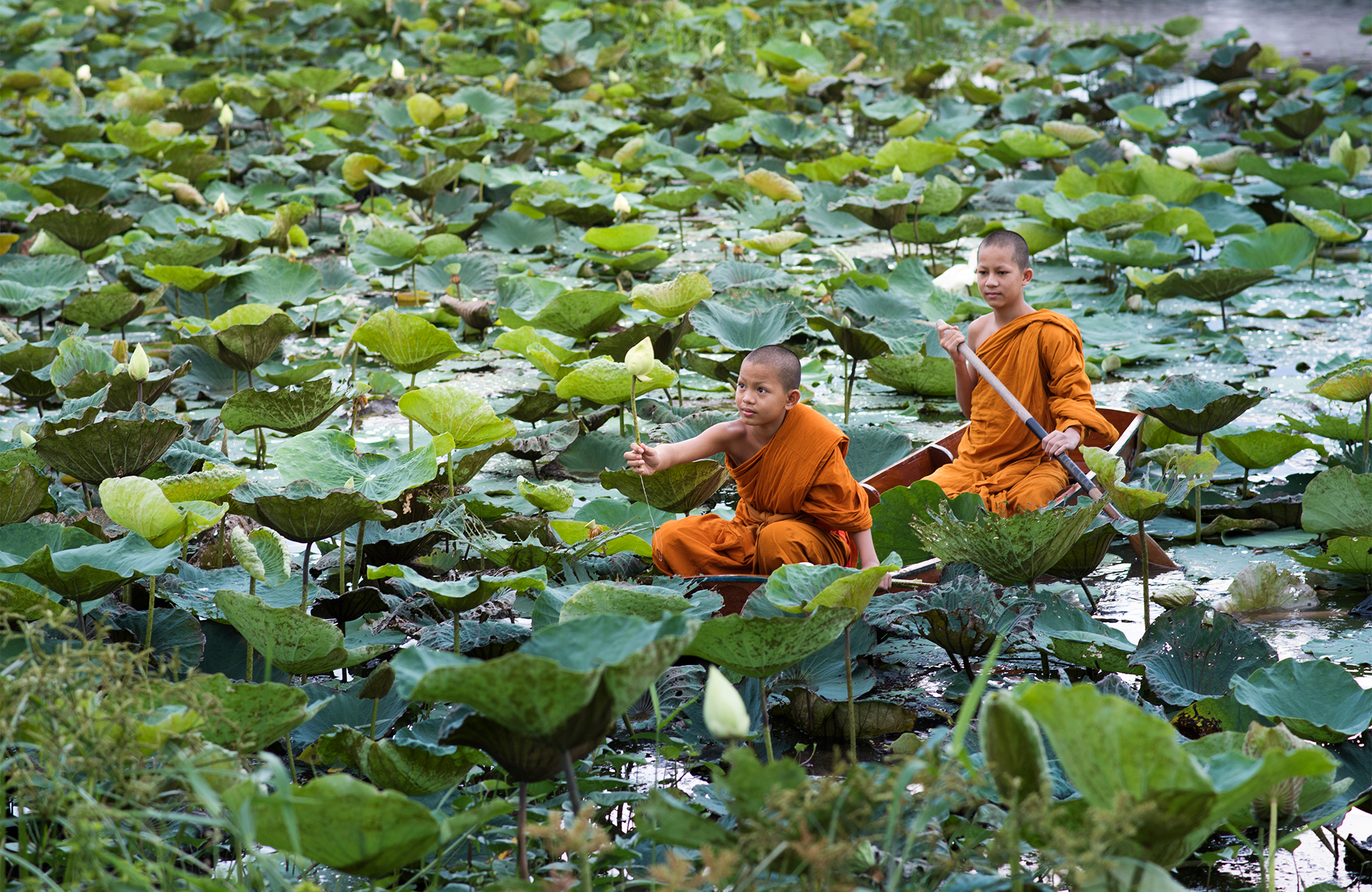 Image of two young monks in a boat navigating through water lilies in Asia - KILROY