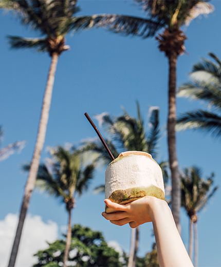 thailand-hand-coconut-sidebar