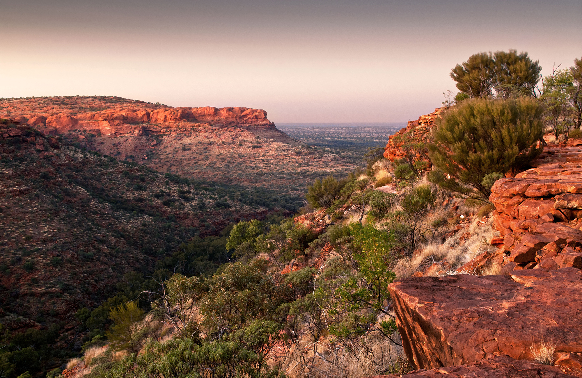 Image of a red landscape in Australia punctuated by green shrubs in the Outback - KILROY