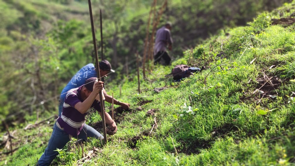 Villagers in Nicaragua working on the myclimate reforestation project - KILROY UK