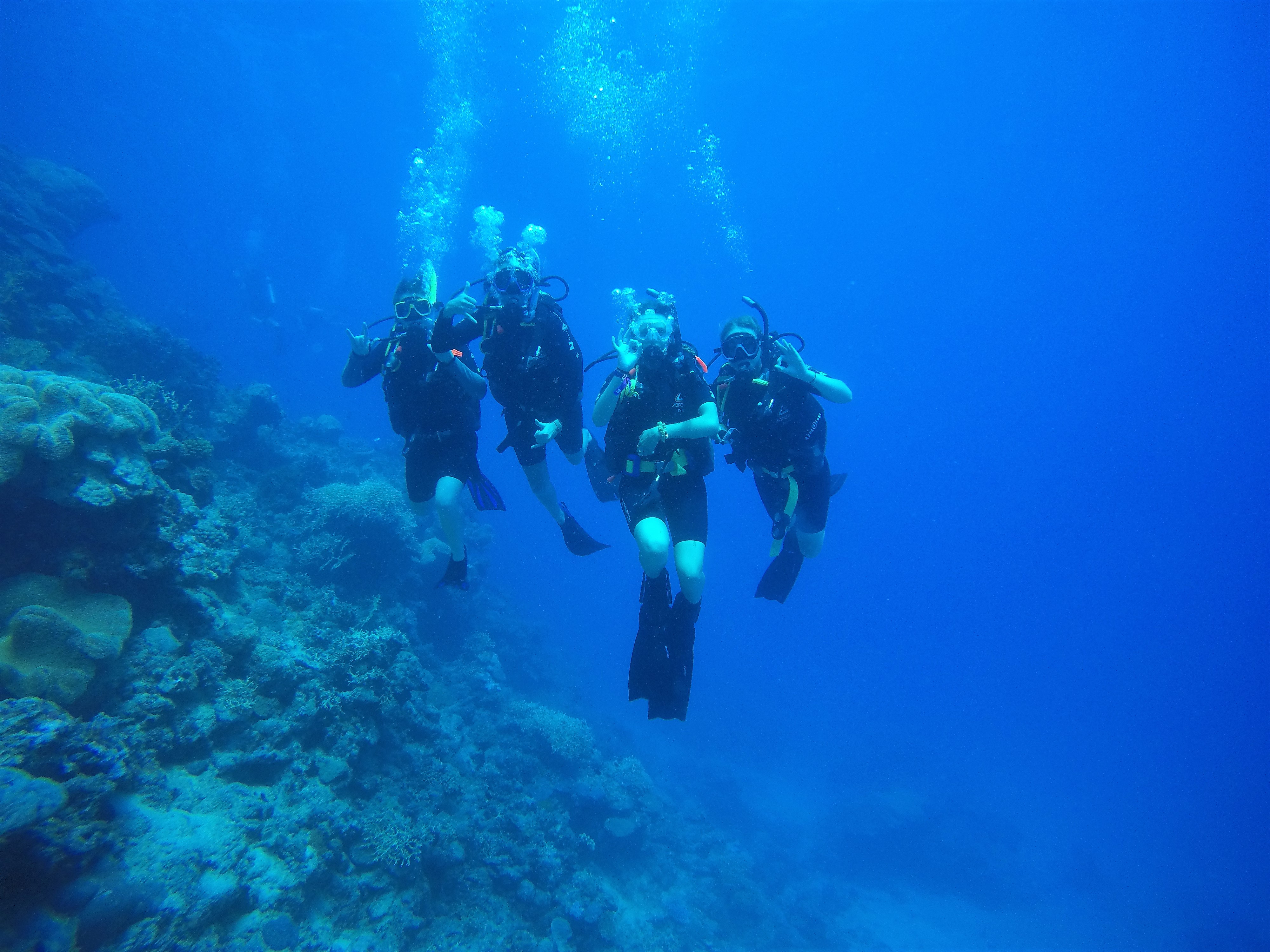 Image of a group of volunteers underwater on a marine conservation project in Australia  - KILROY